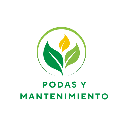 Logo Empresa